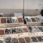 Seasons Durrës